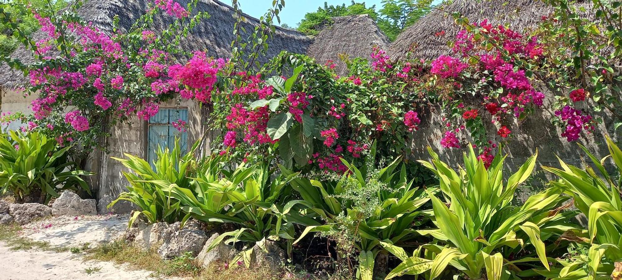 Morningstar Bungalows Zanzibar Матемве Екстер'єр фото